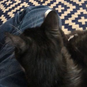 Meet your Posher, Rob